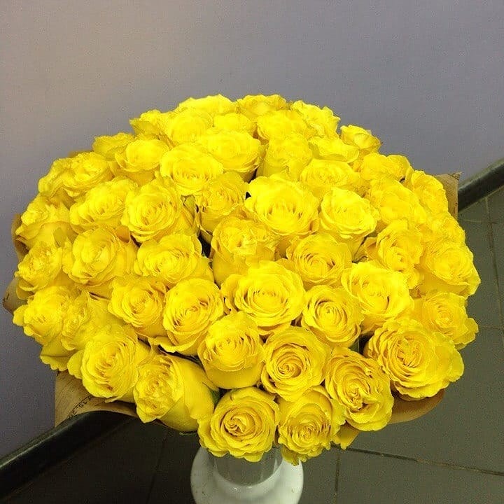 Роза белорусская доставка в Полоцке, Новополоцке