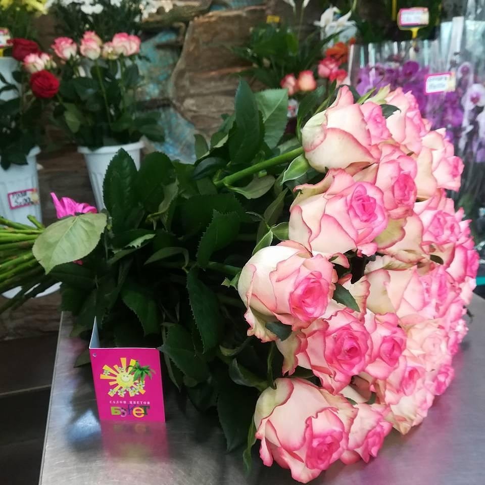 Роза эквадорская купить в Полоцке, Новополоцке