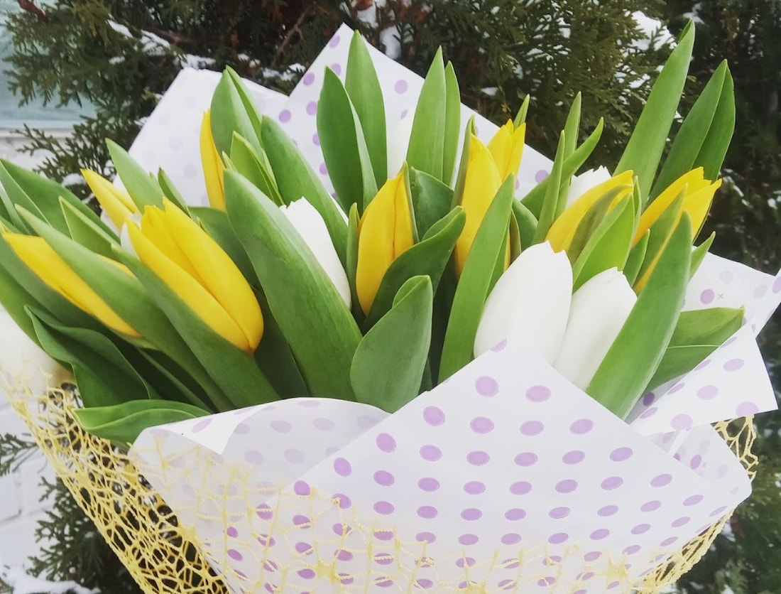 Когда 8 марта в Полоцке и Новополоцк в 2024 году? В пятницу