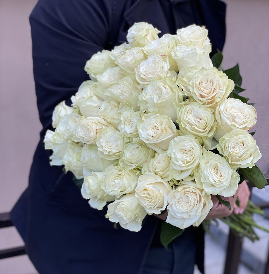 Роза Мондиаль