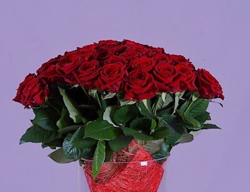 Белорусская роза "Ред Наоми" купить в Полоцке, Новополоцке   
