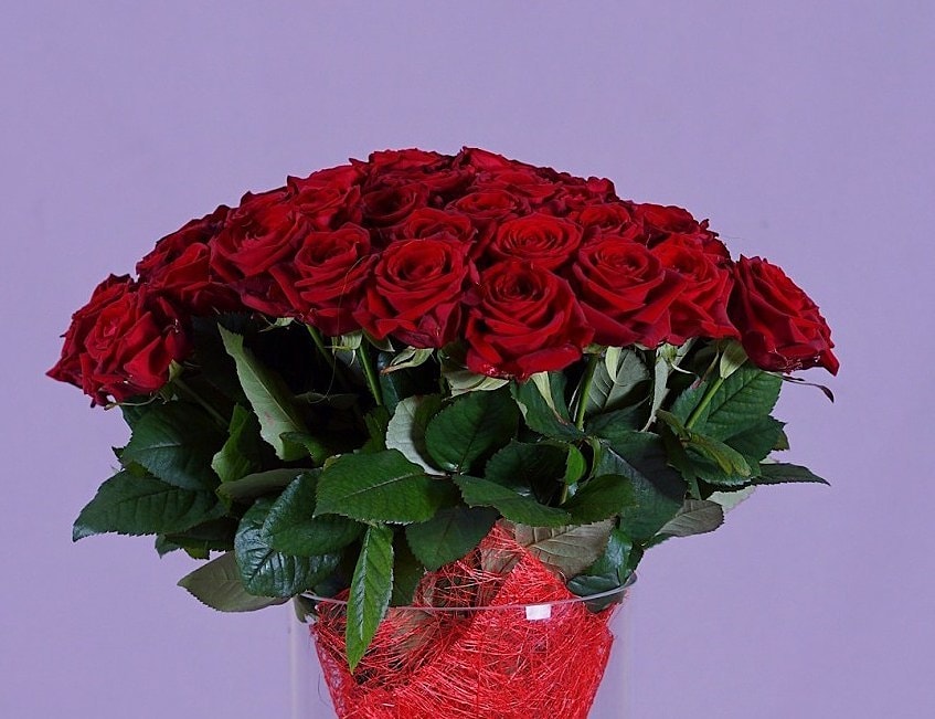 Роза Ред Наоми