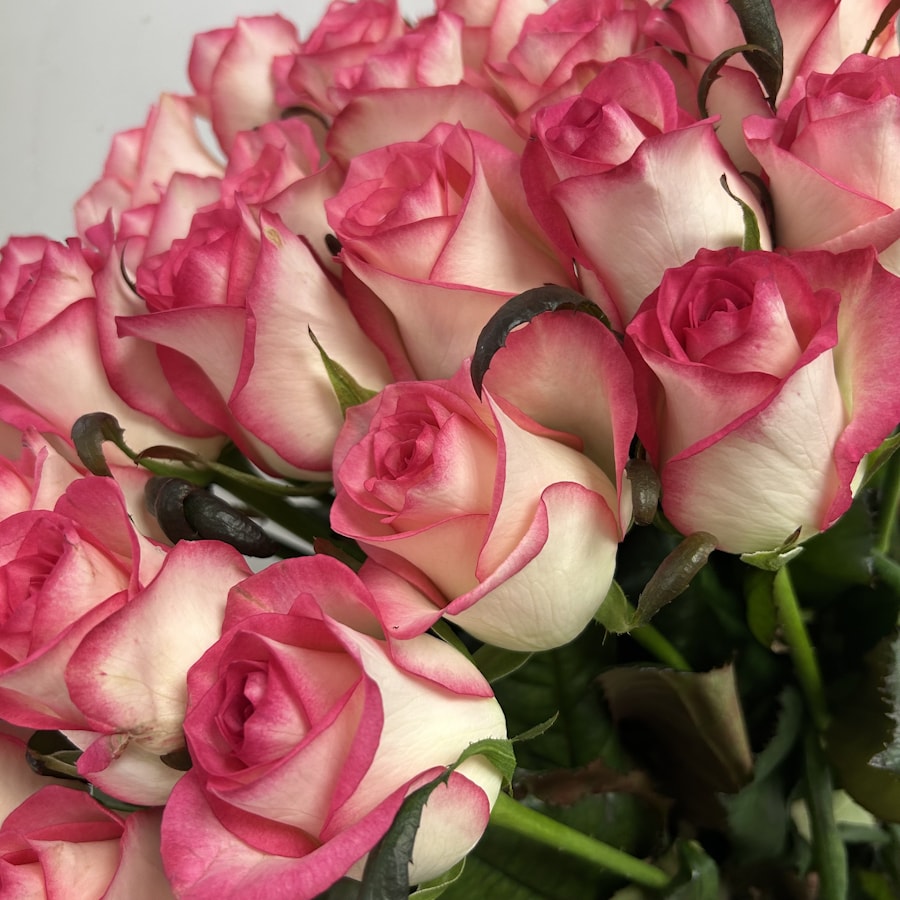 Роза Джумилия