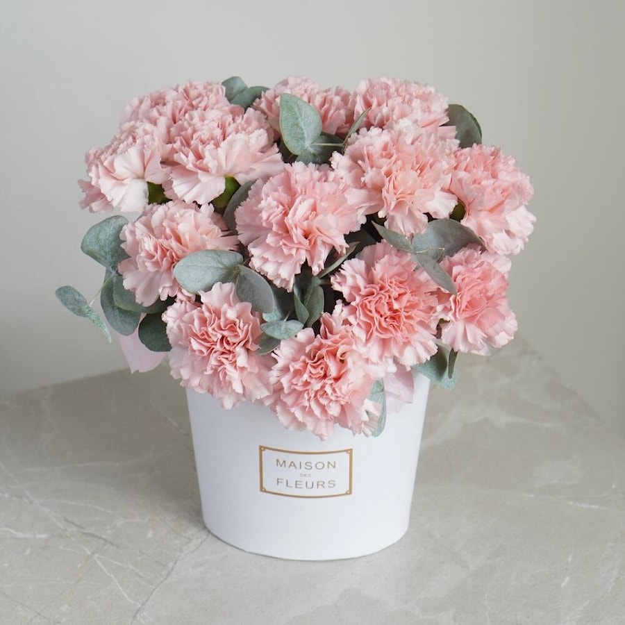 Коробка с розовыми диантусами и эвкалиптом