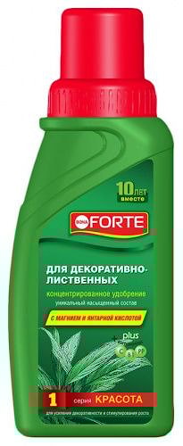 Удобрение Bona forte для декоративно лиственных комнатных растений