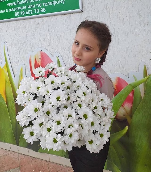 Хризантема белая ветка ромашка