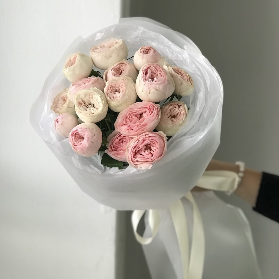 5 кустовых пионовидных роз Мэнсфилд Парк