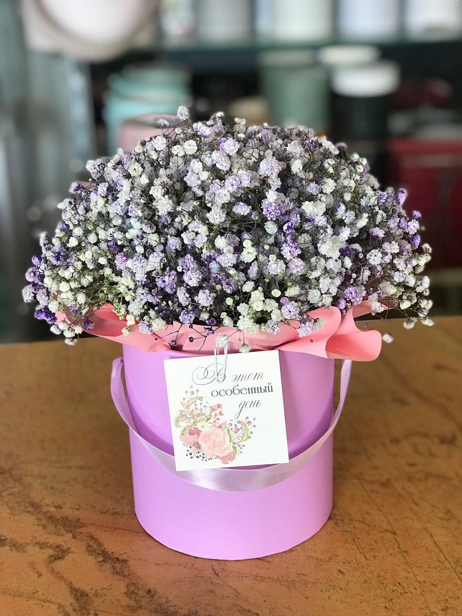 Цветы в коробке "Радужная Гипсофила"