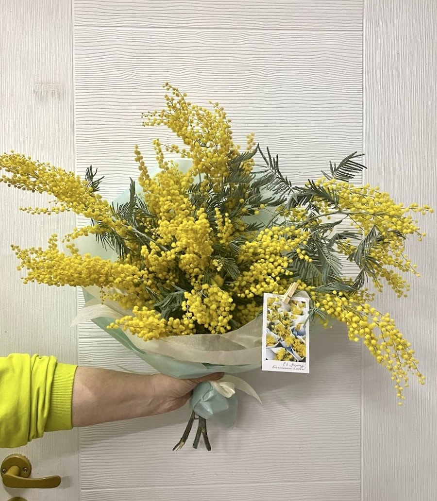 Букет Мимозы