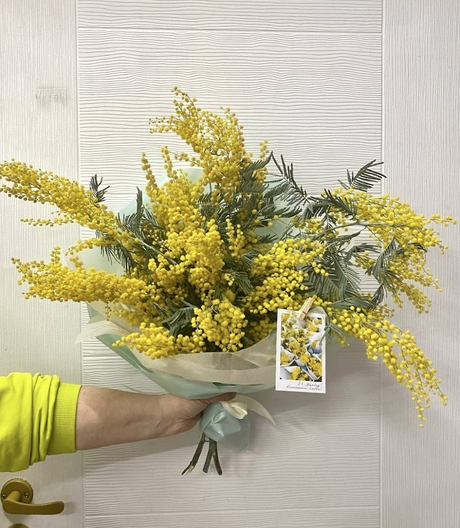 Букет Мимозы