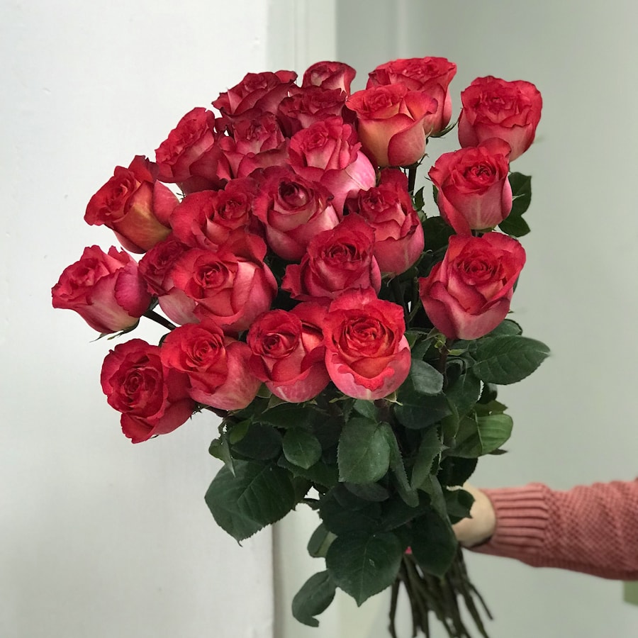 Роза Игуазу