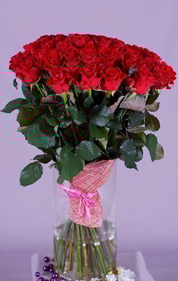 Роза "Ред Дизайр"