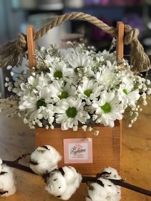 Цветы в коробке "АКВА"  сливки